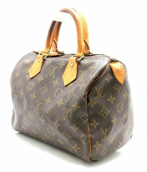 Louis Vuitton Speedy Handbag Monogram Boston Bag
